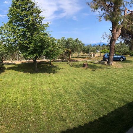 Athos View Villa By The Sea Ormos Panagias Exterior photo