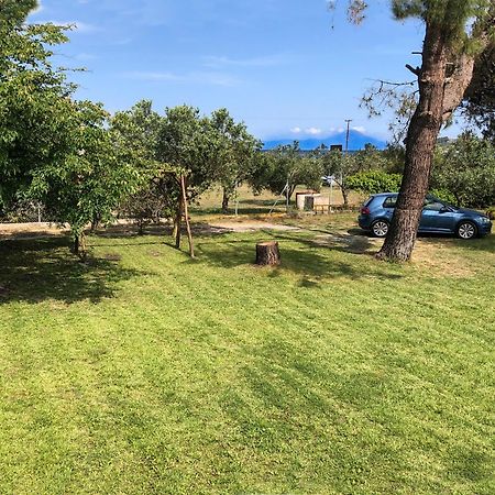 Athos View Villa By The Sea Ormos Panagias Exterior photo